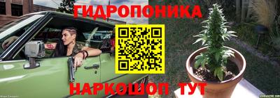 гидропоника Новокубанск