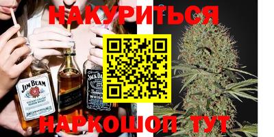 дмт Новозыбков