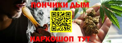 a pvp Новодвинск