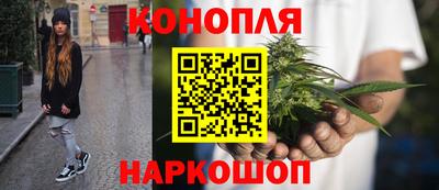 гидропоника Новокубанск