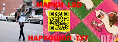 a pvp Новодвинск