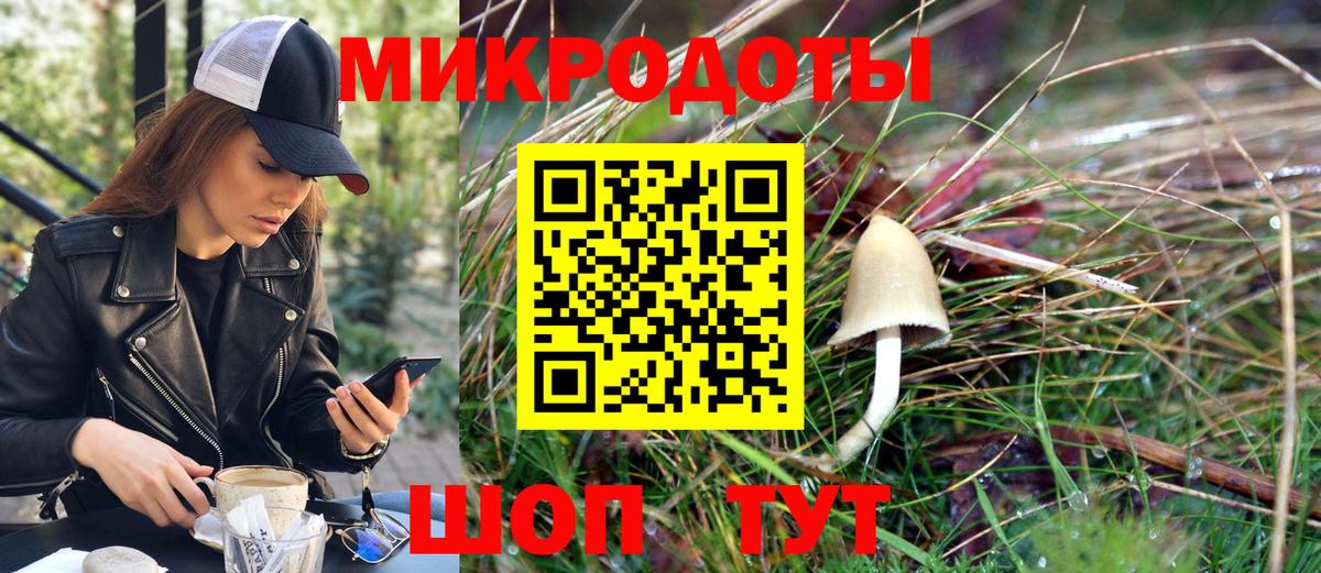 Сертолово  Псилоцибиновые грибы Psilocybe  купить закладку  Вход с VPN  Псилоцибиновые грибы мухоморы 