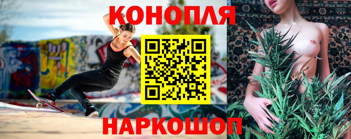 Конопля план Сертолово